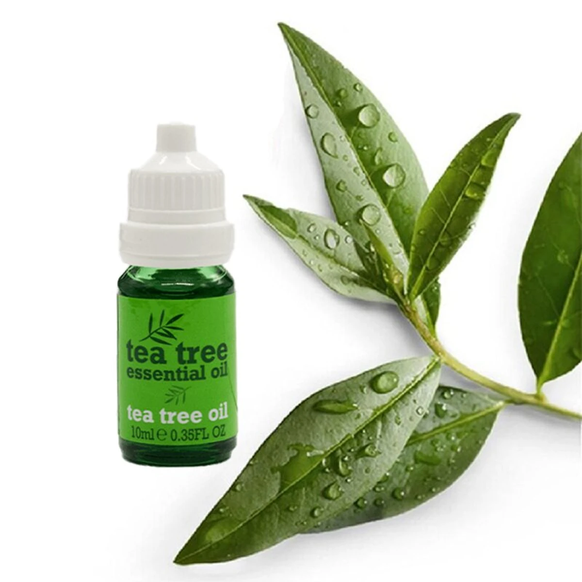 Xpel Tea Tree Essential Oil (10ml) - Image 4