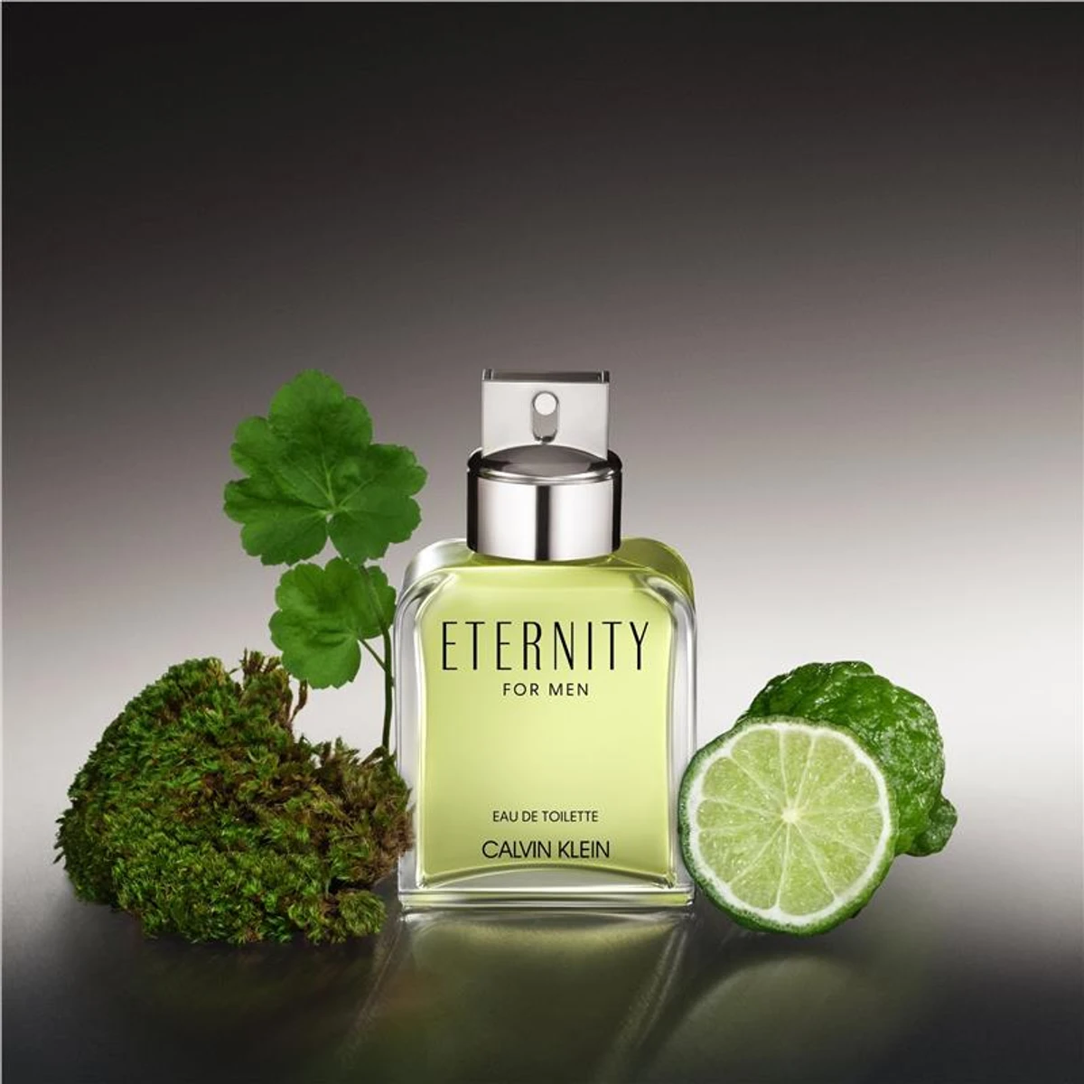 Calvin Klein Eternity EDT For Men (100ml) (100% Original)